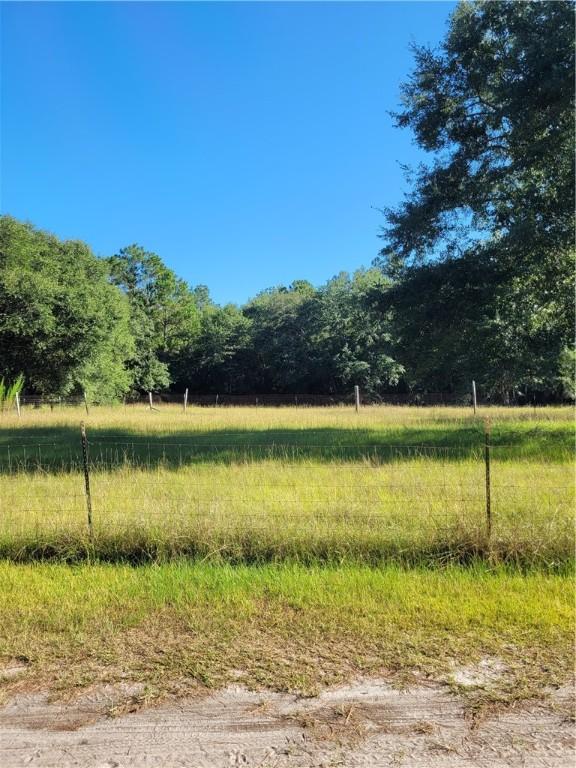 2797 Blues Reach Rd SW, Townsend, GA 31331 - photo 3