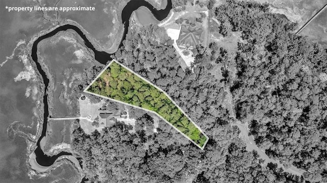 LOT208 Riverpoint Ln NE, Townsend GA, 31331 land for sale