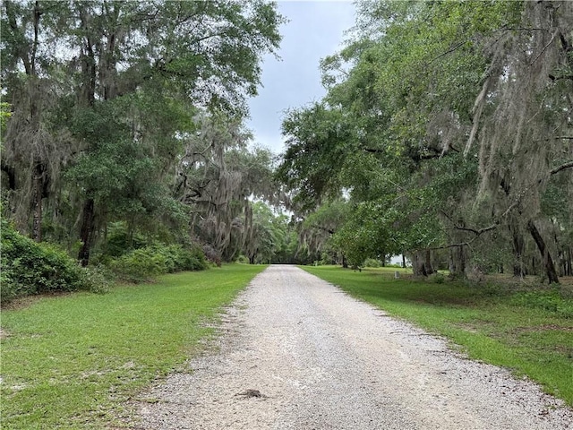 LOT1 Wood Stork Dr NE, Darien, GA 31305 - photo 3
