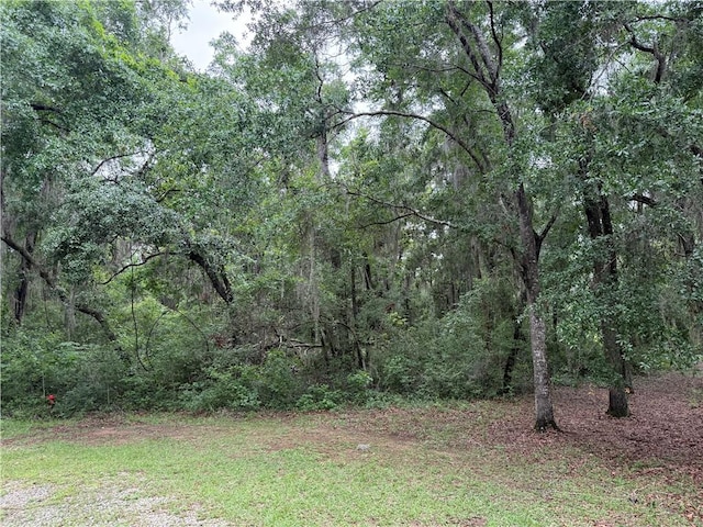 LOT1 Wood Stork Dr NE, Darien, GA 31305 - photo 2