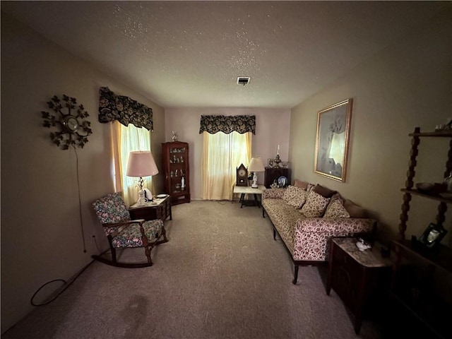 living area with carpet flooring and a textured ceiling