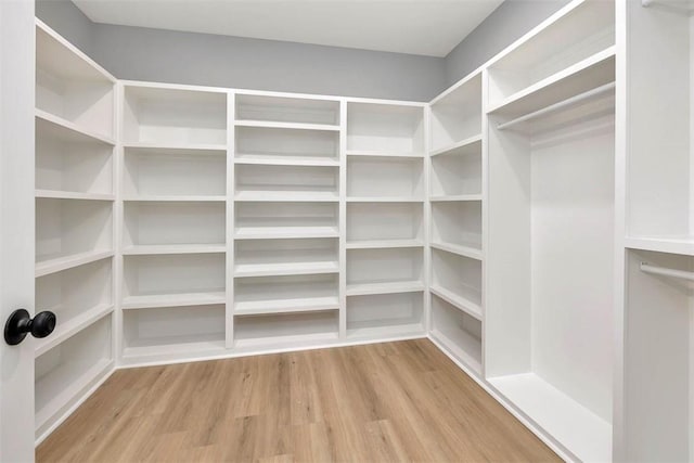 117 Rachel Way, Brunswick, GA 31523 - spacious closet with wood finished floors