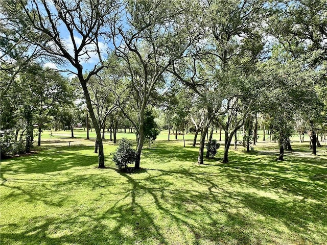 1457 N River Oaks Dr, Blackshear, GA 31516 - view of grassy yard