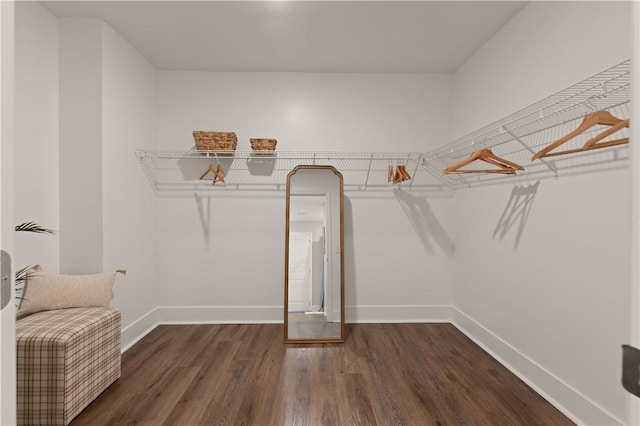 walk in closet featuring dark wood-type flooring