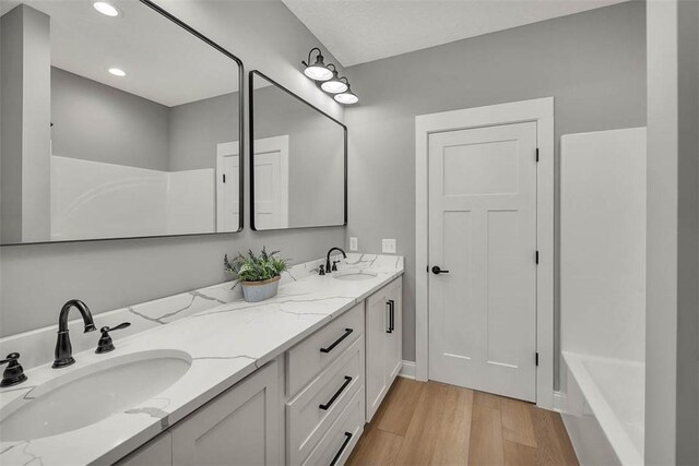 bathroom with hardwood / wood-style floors and vanity