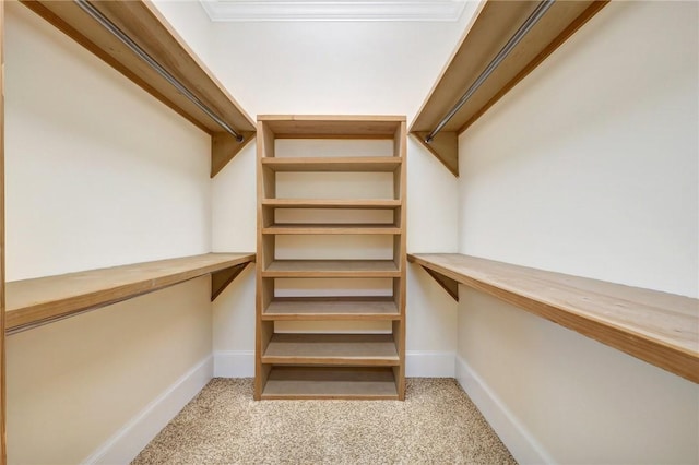 walk in closet with light carpet