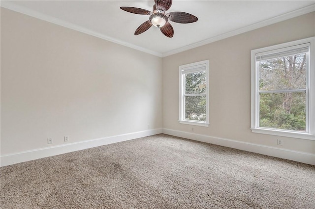 unfurnished room with carpet floors, crown molding, a healthy amount of sunlight, and ceiling fan