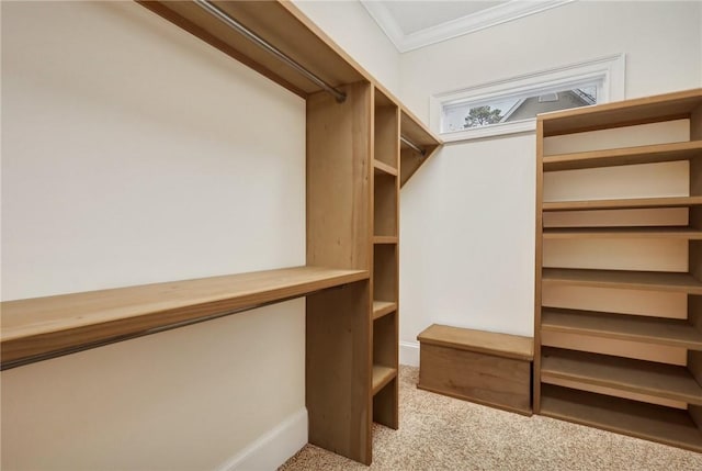 spacious closet featuring light carpet