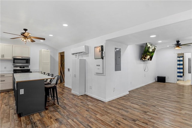 544 Lud Oquinn Rd, Odum, GA 31555 - kitchen with stainless steel appliances, a ceiling fan, electric panel, recessed lighting, and wood finished floors