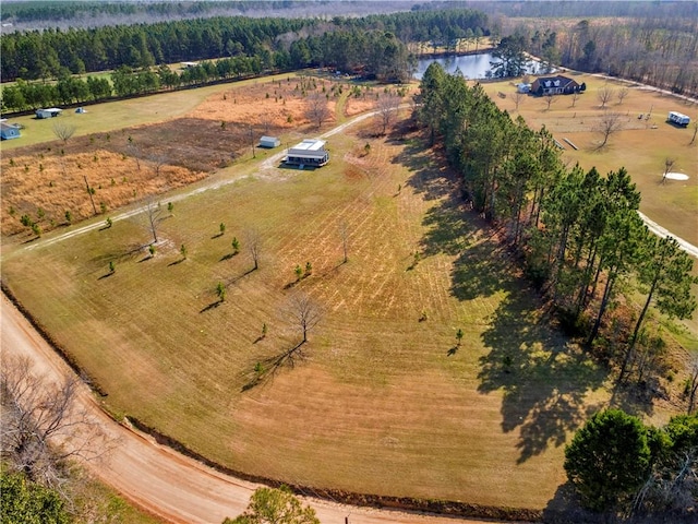544 Lud Oquinn Rd, Odum, GA 31555 - aerial view of sparsely populated area