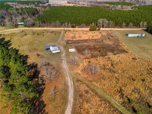 544 Lud Oquinn Rd, Odum, GA 31555 - view of rural area