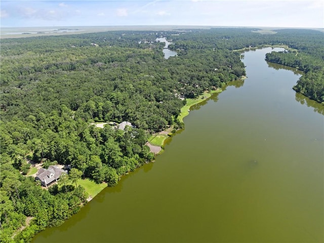 1313 Pikes Bluff Rd, Saint Simons Island, GA 31522 - photo 59