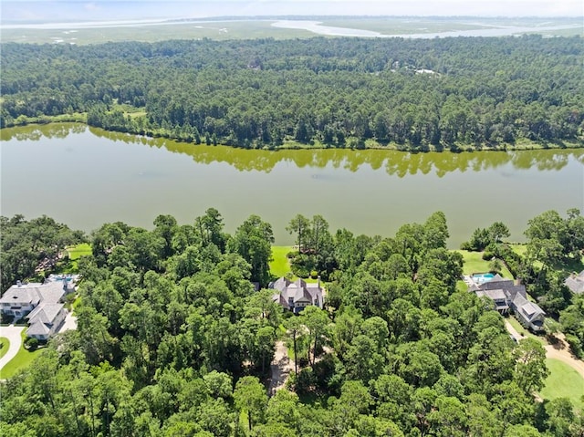 1313 Pikes Bluff Rd, Saint Simons Island, GA 31522 - photo 56