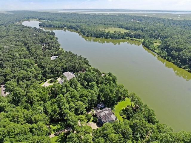 1313 Pikes Bluff Rd, Saint Simons Island, GA 31522 - photo 61