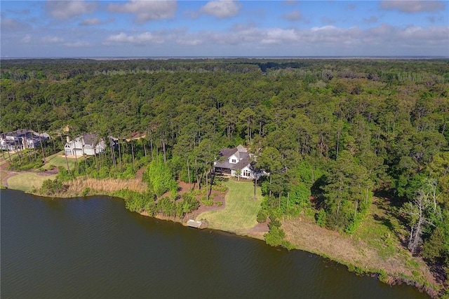1313 Pikes Bluff Rd, Saint Simons Island, GA 31522 - photo 53
