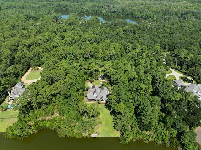1313 Pikes Bluff Rd, Saint Simons Island, GA 31522 - photo 58