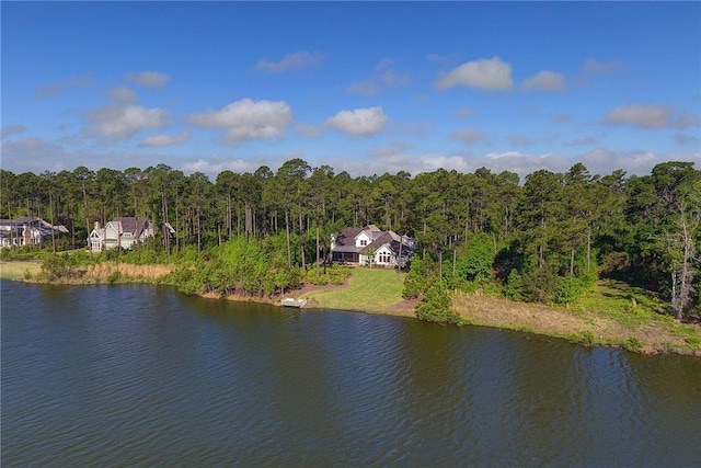 1313 Pikes Bluff Rd, Saint Simons Island, GA 31522 - photo 54