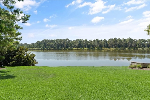 1313 Pikes Bluff Rd, Saint Simons Island, GA 31522 - photo 47