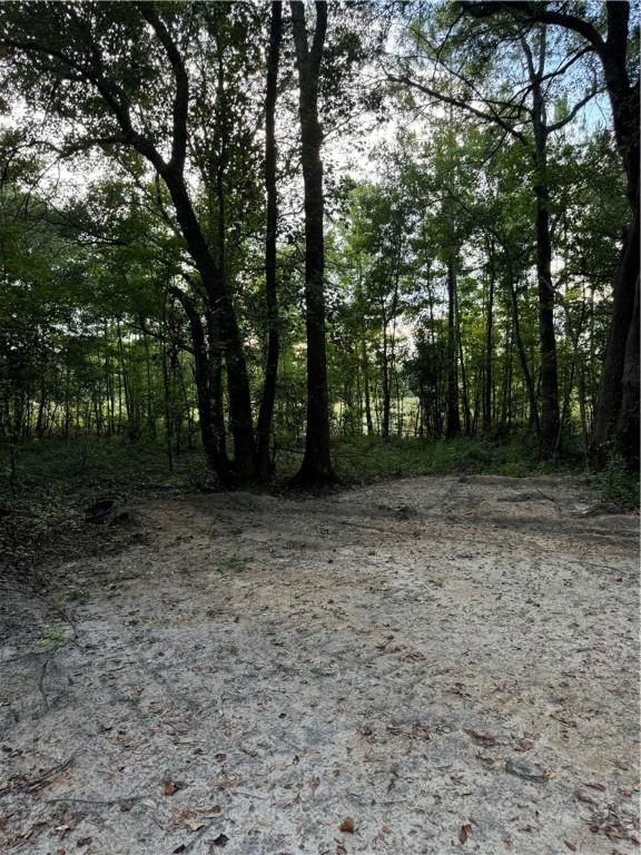 9817 Battle Creek Church Rd, GA, 30453 land for sale