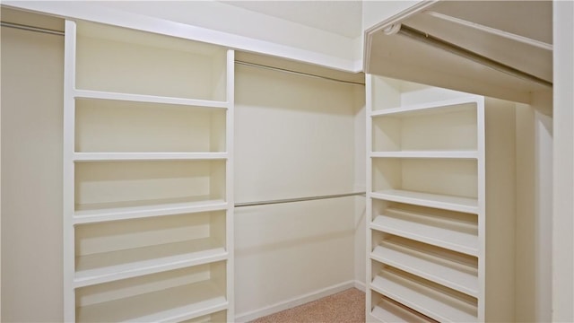500 Altamaha Rd, Jesup, GA 31545 - spacious closet featuring carpet floors