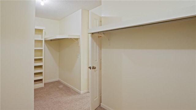 500 Altamaha Rd, Jesup, GA 31545 - walk in closet with light carpet