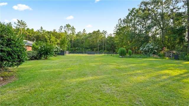 500 Altamaha Rd, Jesup, GA 31545 - view of yard