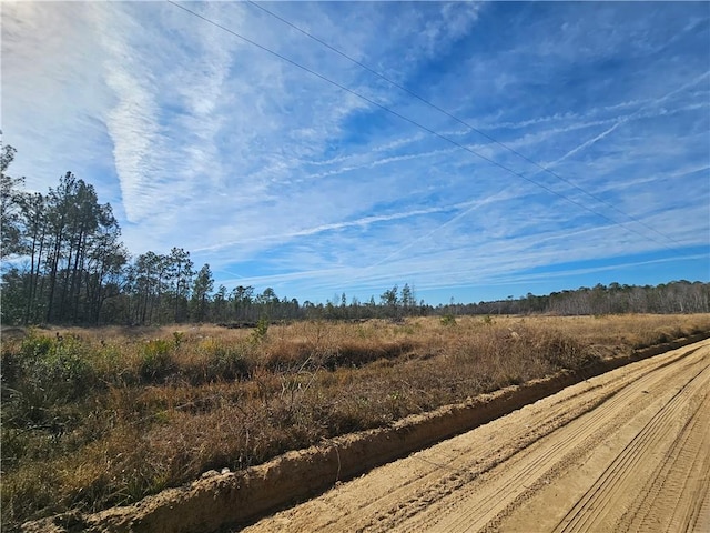 27.15 Arnold Dr, Ludowici GA, 31316 land for sale