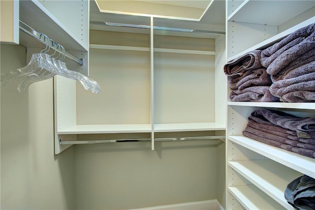 view of walk in closet