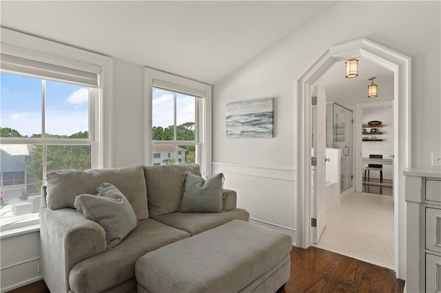 living area featuring dark wood finished floors, a wealth of natural light, and vaulted ceiling