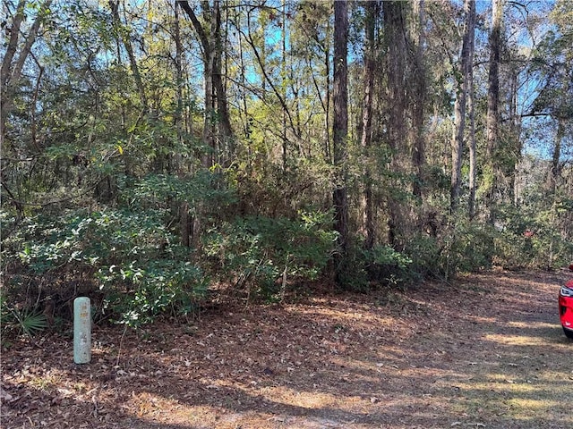 Listing photo 2 for LOT42 Eagle Neck Dr NE, Townsend GA 31331