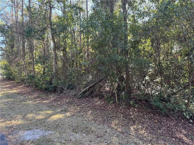 LOT42 Eagle Neck Dr NE, Townsend GA, 31331 land for sale