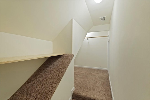 151 Raymonds Grant Trce, Saint Simons Island, GA 31522 - spacious closet featuring light colored carpet and lofted ceiling