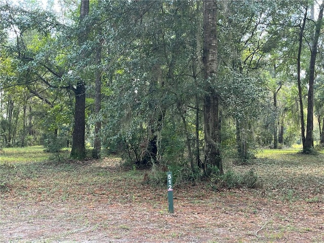 Listing photo 2 for LOT512 Marsh Hen Rd NE, Townsend GA 31331