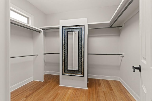 spacious closet featuring light wood-type flooring