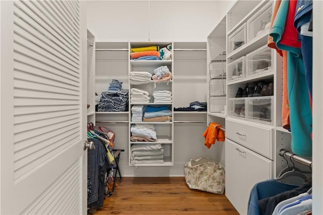 spacious closet with hardwood / wood-style floors