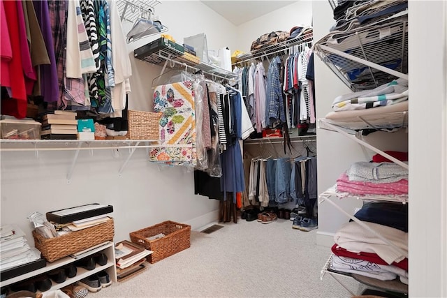 spacious closet featuring carpet flooring