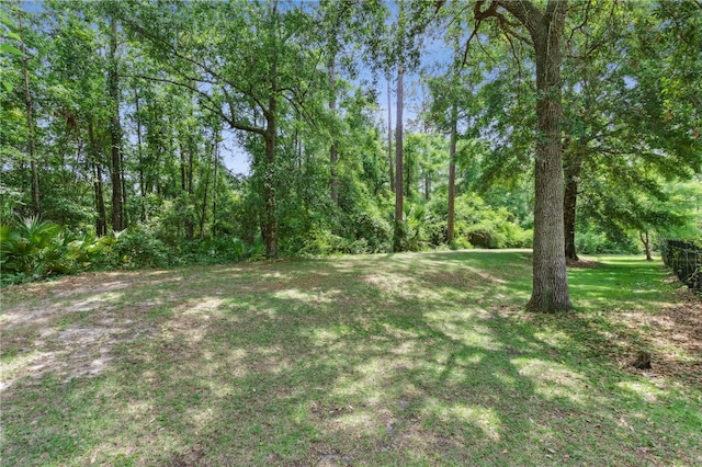 185 Sunset Dr, Woodbine, GA 31569 - photo 85