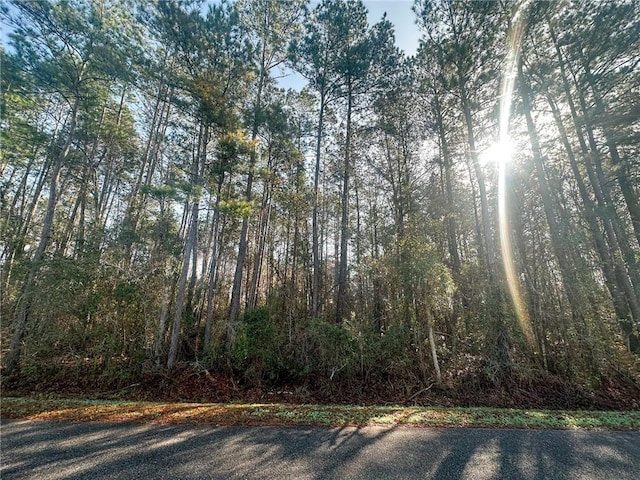 Listing photo 2 for LOT42 Shellcracker St, Kingsland GA 31548