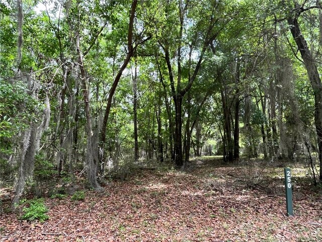 Listing photo 3 for LOT250 Coopers Landing Dr NE, Townsend GA 31331