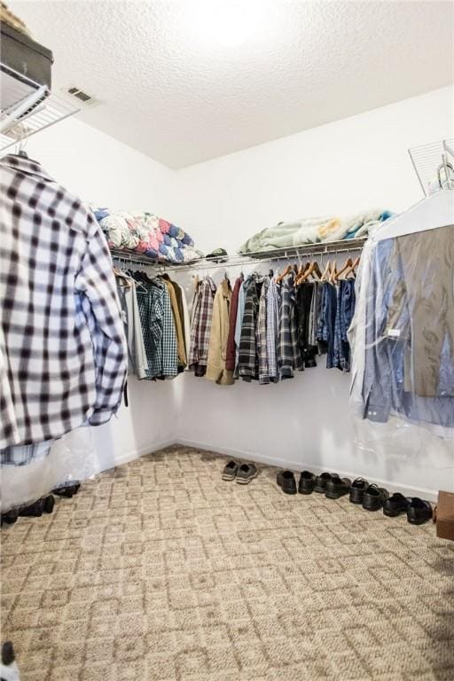 5604 Woodstone Dr, Blackshear, GA 31516 - walk in closet with carpet flooring