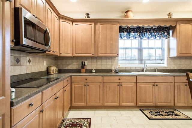 5604 Woodstone Dr, Blackshear, GA 31516 - kitchen with a sink, stainless steel microwave, dark countertops, and black electric cooktop