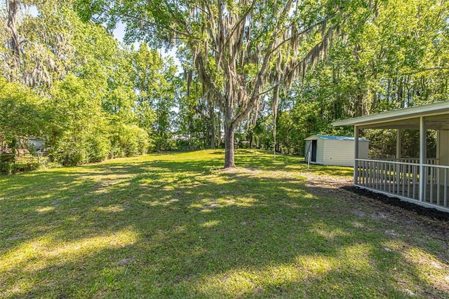 view of yard with a shed