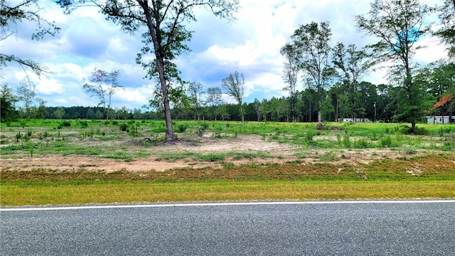2966 Dean Still Rd, Blackshear, GA 31516
