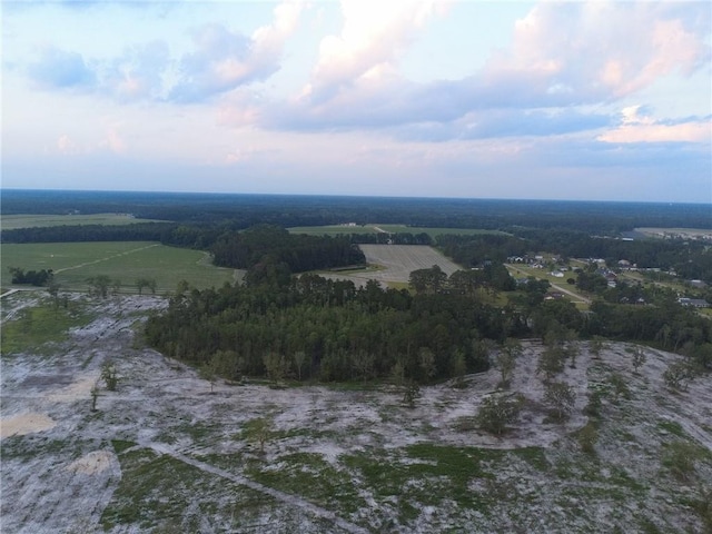 2966 Dean Still Rd, Blackshear, GA 31516
