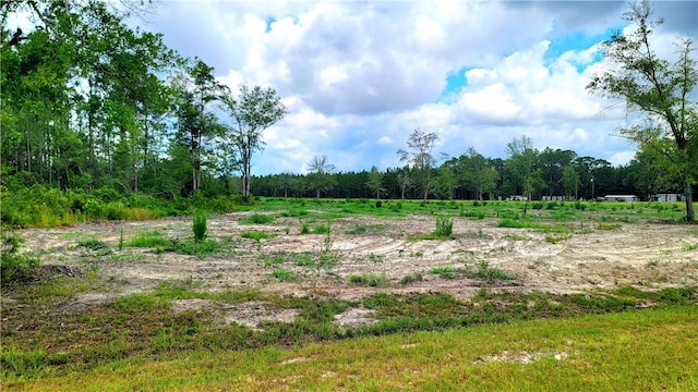 2966 Dean Still Rd, Blackshear, GA 31516