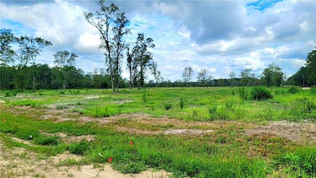 2966 Dean Still Rd, Blackshear, GA 31516