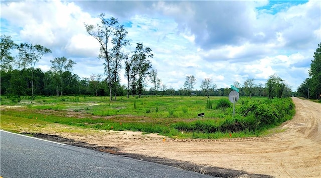 2966 Dean Still Rd, Blackshear, GA 31516