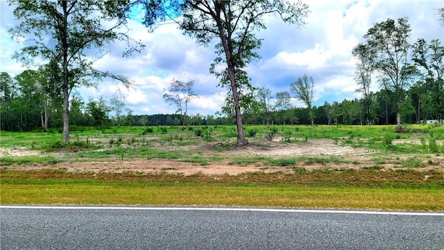2966 Dean Still Rd, Blackshear, GA 31516