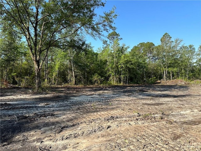2966 Dean Still Rd, Blackshear, GA 31516
