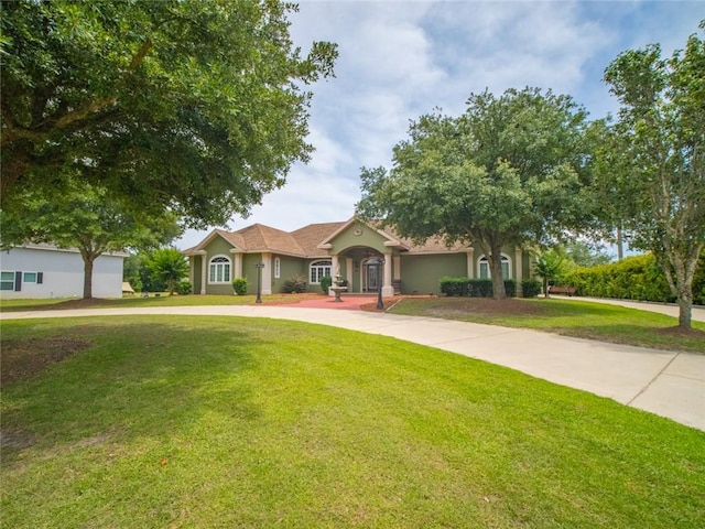 ranch-style house with a front lawn